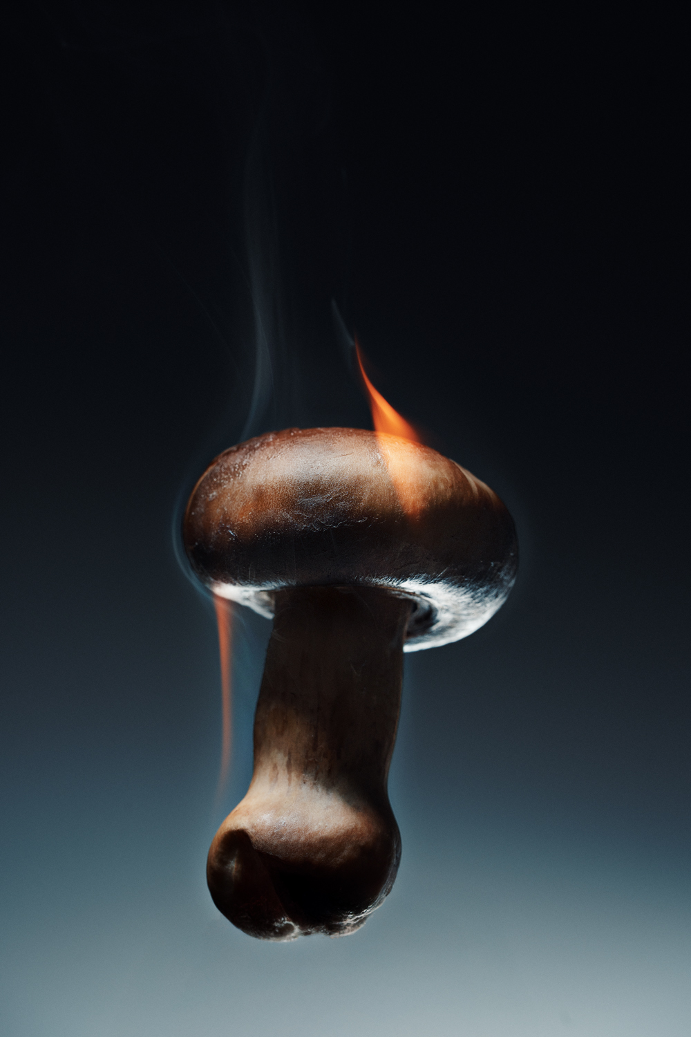 Photographe commercial à Casablanca spécialisé en publicité, produits et retouche haut de gamme. Création d’images professionnelles pour marques et entreprises au Maroc.