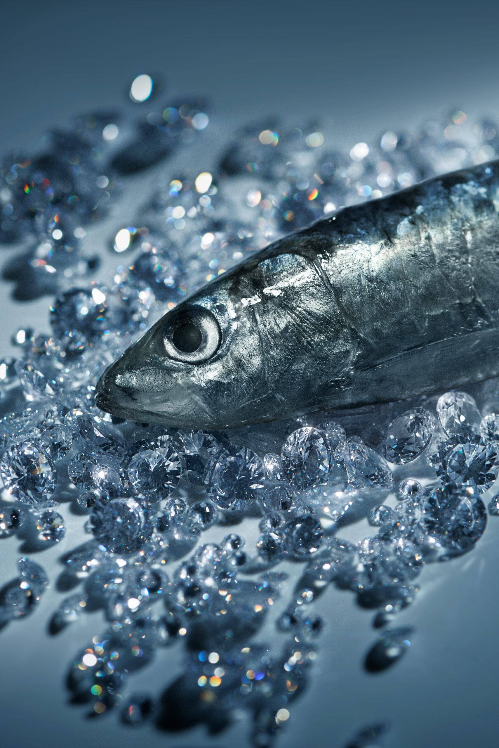 Photographe commercial à Casablanca spécialisé en publicité, produits et retouche haut de gamme. Création d’images professionnelles pour marques et entreprises au Maroc.